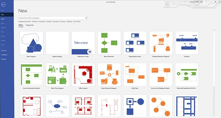 difference between microsoft visio standard and professional 2019